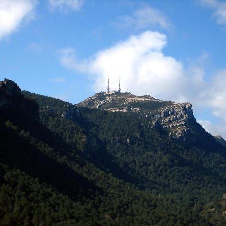 Hostal Virginia Tortosa Kültér fotó